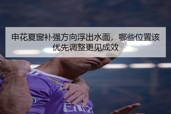 申花夏窗补强方向浮出水面，哪些位置该优先调整更见成效